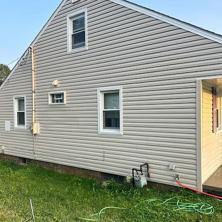 How to Remove Mold, Mildew, and Algae From Your Home’s Exterior