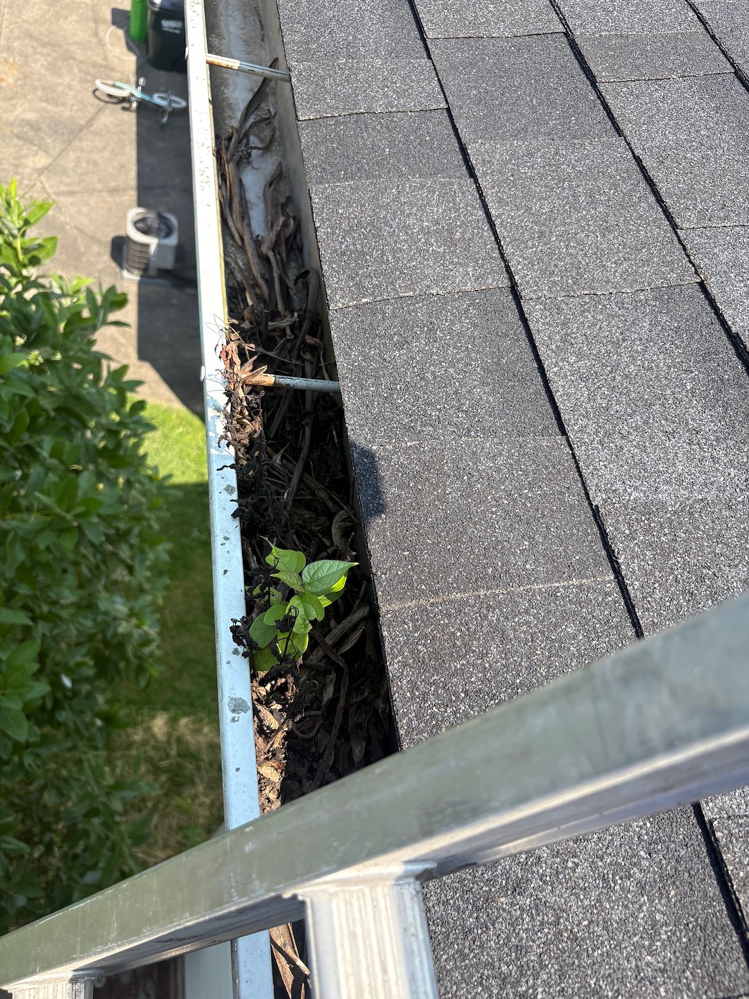 Don't Let Clogged Gutters Rain on Your Parade in Massillon and surrounding Areas Thumbnail