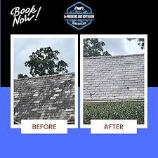 Those-black-streaks-on-your-roof-arent-dirt-theyre-algae 0